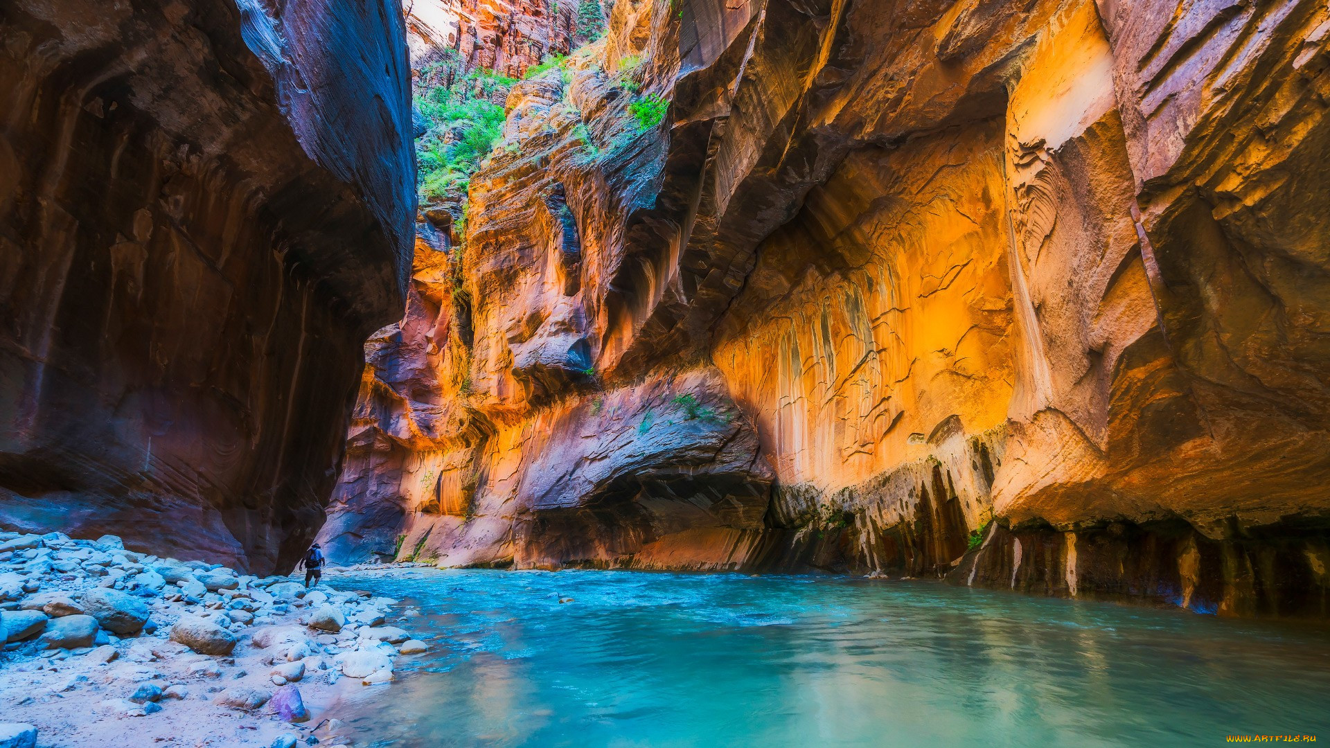   zion, , , , , , , , , , , , , 